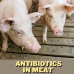 Antibiotics in Meat: What You Need to Know