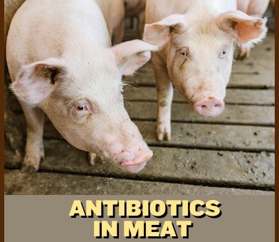 Antibiotics in Meat: What You Need to Know